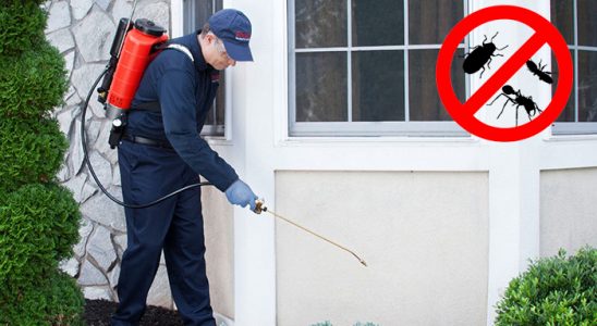 Çanakçı Böcek ve Haşere İlaçlama böcek ilaçlama ve haşere kontrolü — ilaclama-tr.com